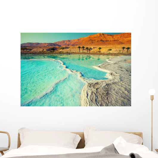 Dead Sea Salt Shore Wall Decal