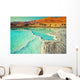 Dead Sea Salt Shore Wall Decal