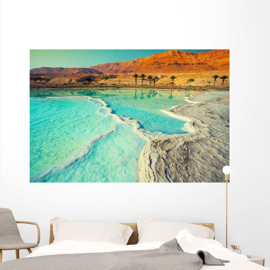 Dead Sea Salt Shore Wall Decal