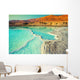 Dead Sea Salt Shore Wall Decal