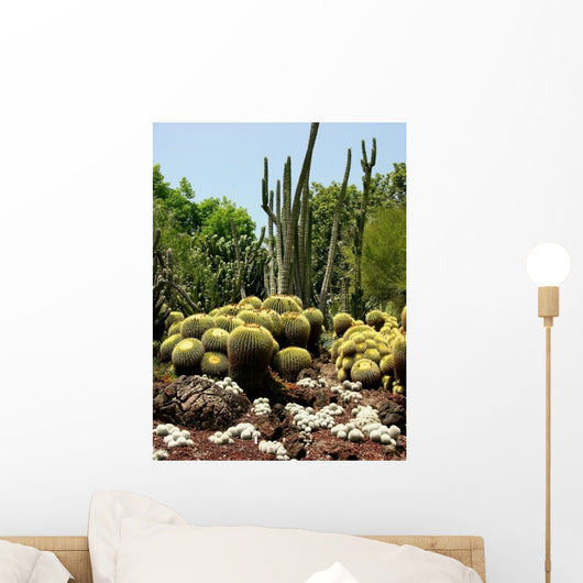 Cactus Garden Wall Decal