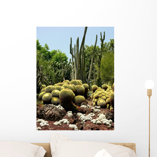 Cactus Garden Wall Decal