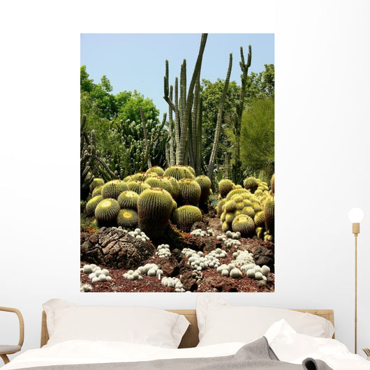 Cactus Garden Wall Decal