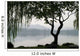 Chinesischer Baum Wall Decal