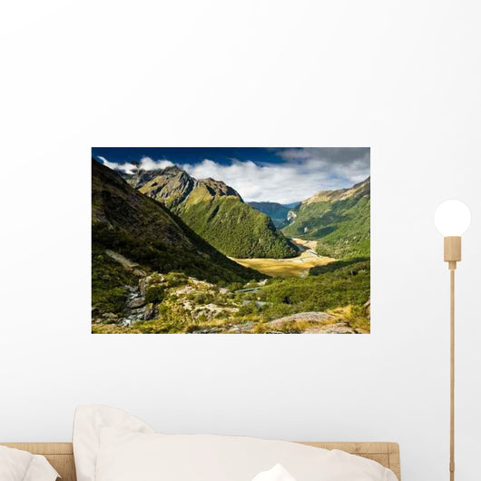 Scenic over Routeburn Valley Wall Decal