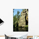 Gebirgswasser Wall Decal