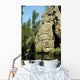Gebirgswasser Wall Decal