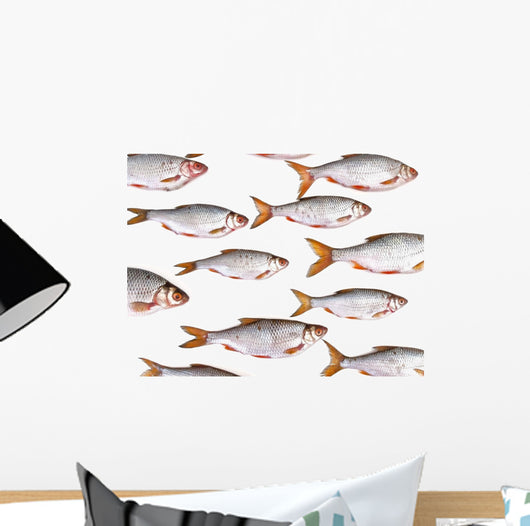 Fish Group against White Wall Decal