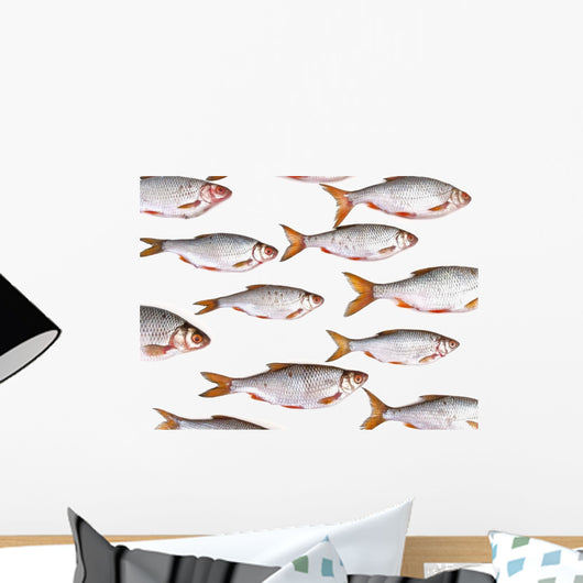 Fish Group against White Wall Decal