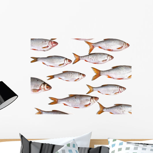 Fish Group against White Wall Decal