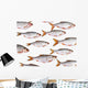 Fish Group against White Wall Decal