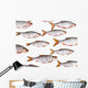 Fish Group against White Wall Decal