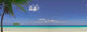 Tropic Wall Decal
