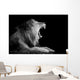 Grey-scale Roaring Lion Wall Decal
