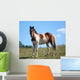 Paint Horse Wall Decal