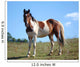 Paint Horse Wall Decal