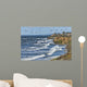 Seabirds near Carlsbad Cliffs Wall Decal