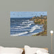Seabirds near Carlsbad Cliffs Wall Decal