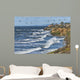 Seabirds near Carlsbad Cliffs Wall Decal