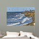 Seabirds near Carlsbad Cliffs Wall Decal