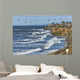 Seabirds near Carlsbad Cliffs Wall Decal