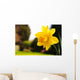Daffodil Garden Wall Decal