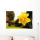 Daffodil Garden Wall Decal