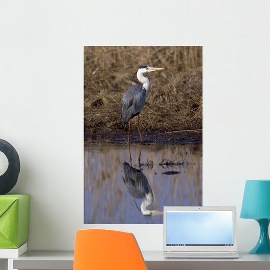 Grey Heron Wall Decal