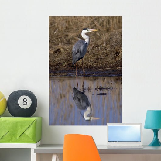 Grey Heron Wall Decal