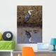 Grey Heron Wall Decal