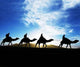 Caravan Sahara Desert Wall Decal Design 3