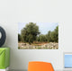 Olive Trees Wall Decal Design 2