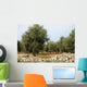 Olive Trees Wall Decal Design 2