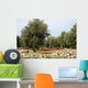 Olive Trees Wall Decal Design 2
