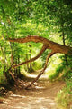 Wegsperre Wall Decal