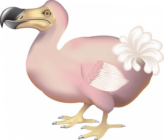 Dodo Bird Wall Decal