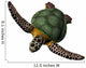 3D Great Sea Turtle Wall Decal Design 3