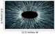 Wormhole or Black Hole Wall Decal