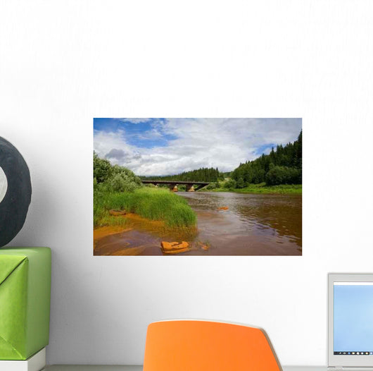 Polluted River Wall Decal