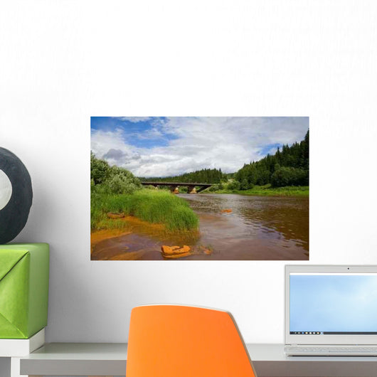 Polluted River Wall Decal