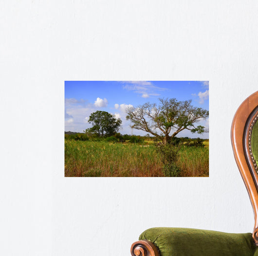 African Landscape Kruger National Wall Decal