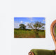 African Landscape Kruger National Wall Decal
