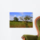 African Landscape Kruger National Wall Decal