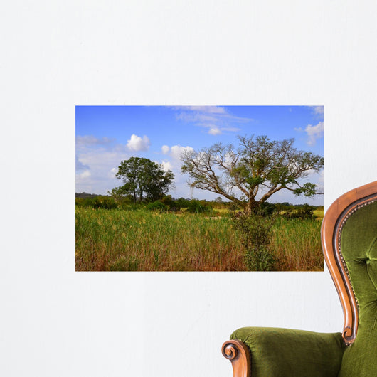 African Landscape Kruger National Wall Decal