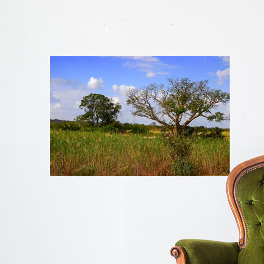 African Landscape Kruger National Wall Decal