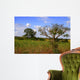 African Landscape Kruger National Wall Decal