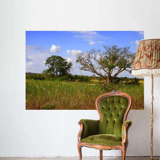 African Landscape Kruger National Wall Decal