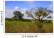 African Landscape Kruger National Wall Decal