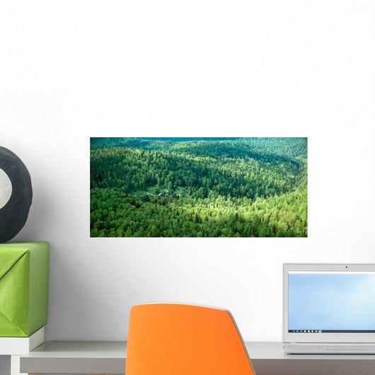 Picture Forest Surrounding House Wall Decal