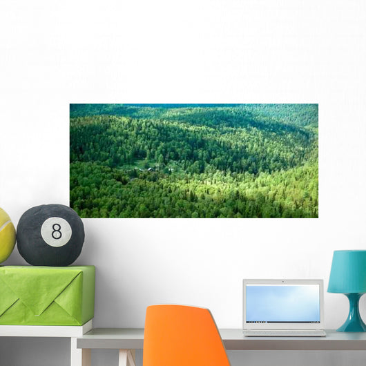 Picture Forest Surrounding House Wall Decal